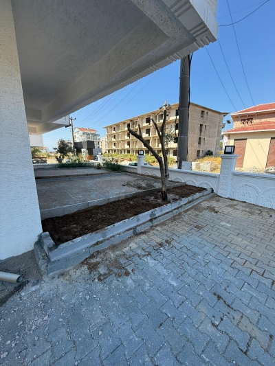 Sizin Evler A Blok Zeytin Ağacı Dikimi